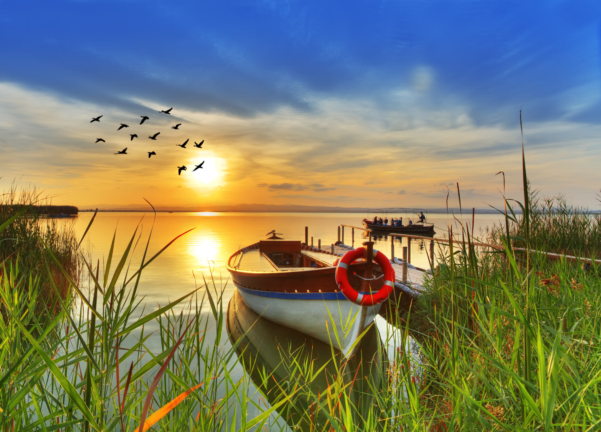 Summer Season HD Wallpaper New Tab Theme