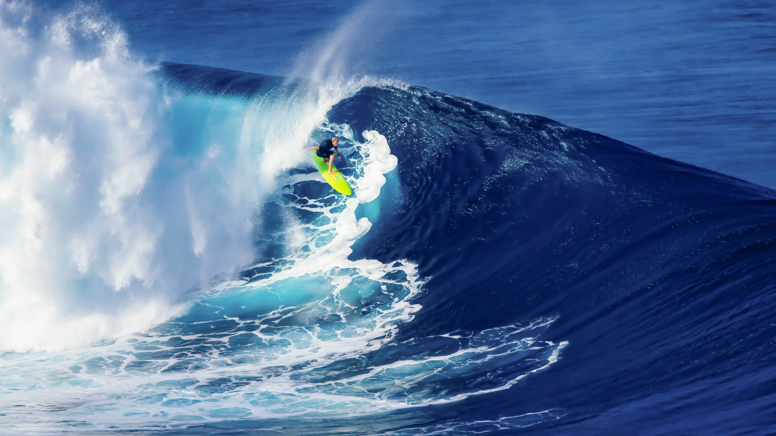 Surfing New Tab